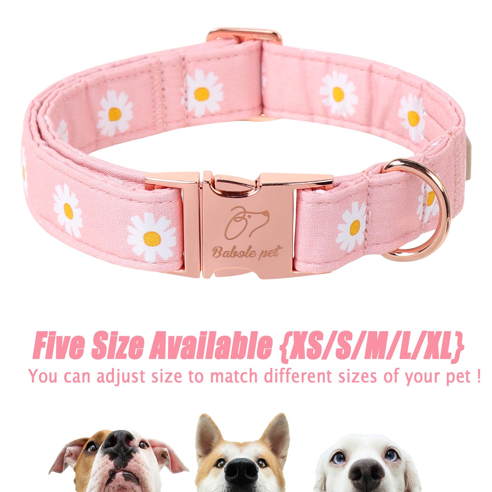 Collar Babole Pet combina con correa y bandana para un conjunto completo