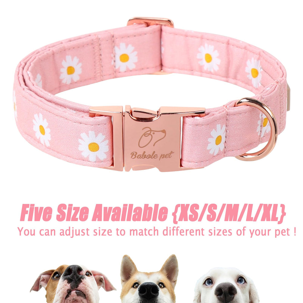 Collar Babole Pet combina con correa y bandana para un conjunto completo