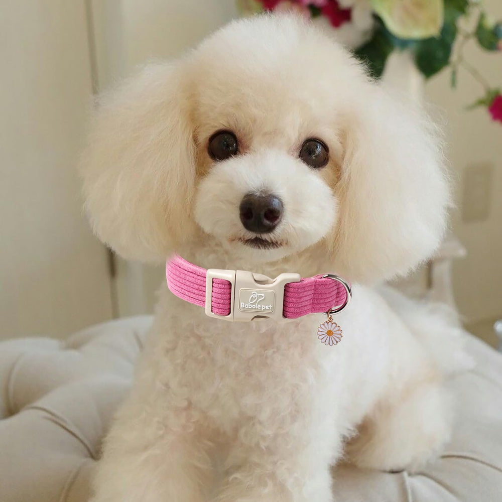 Ajuste de cinco tallas para perros pequeños.