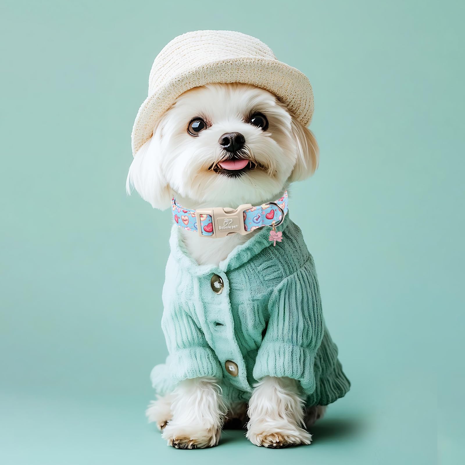 Collar ajustable Babole Pet para perros pequeños, cómodo y ligero para paseos diarios.