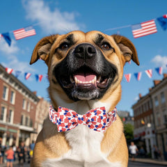 El collar Babole Pet tiene ajuste regulable suave y transpirable para cuello cómodo.