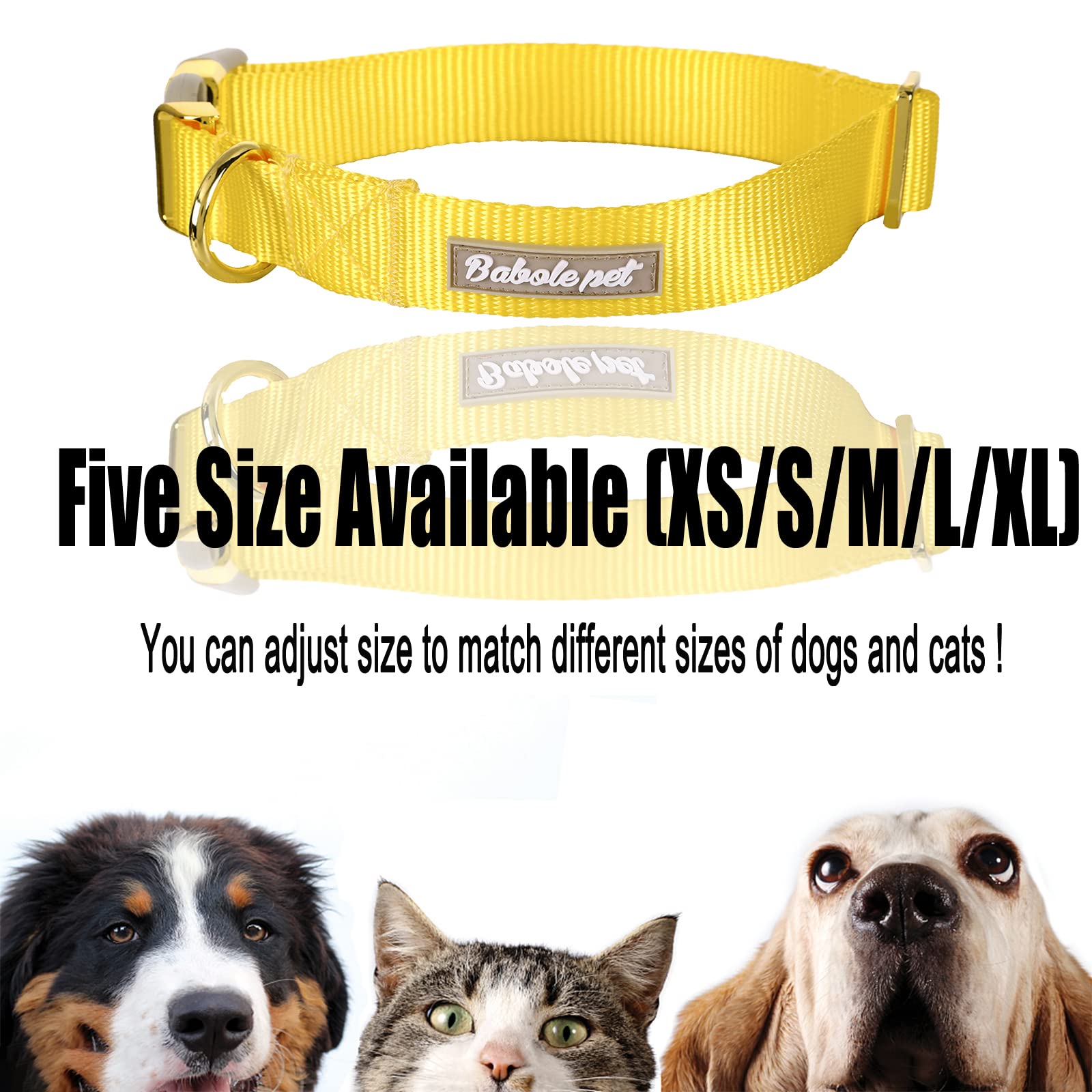 Modelos en colores brillantes Babole Pet para que el perro destaque