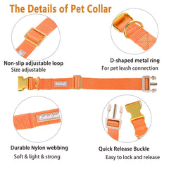 Collar Babole Pet naranja con anchura ajustable para tallas diferentes.