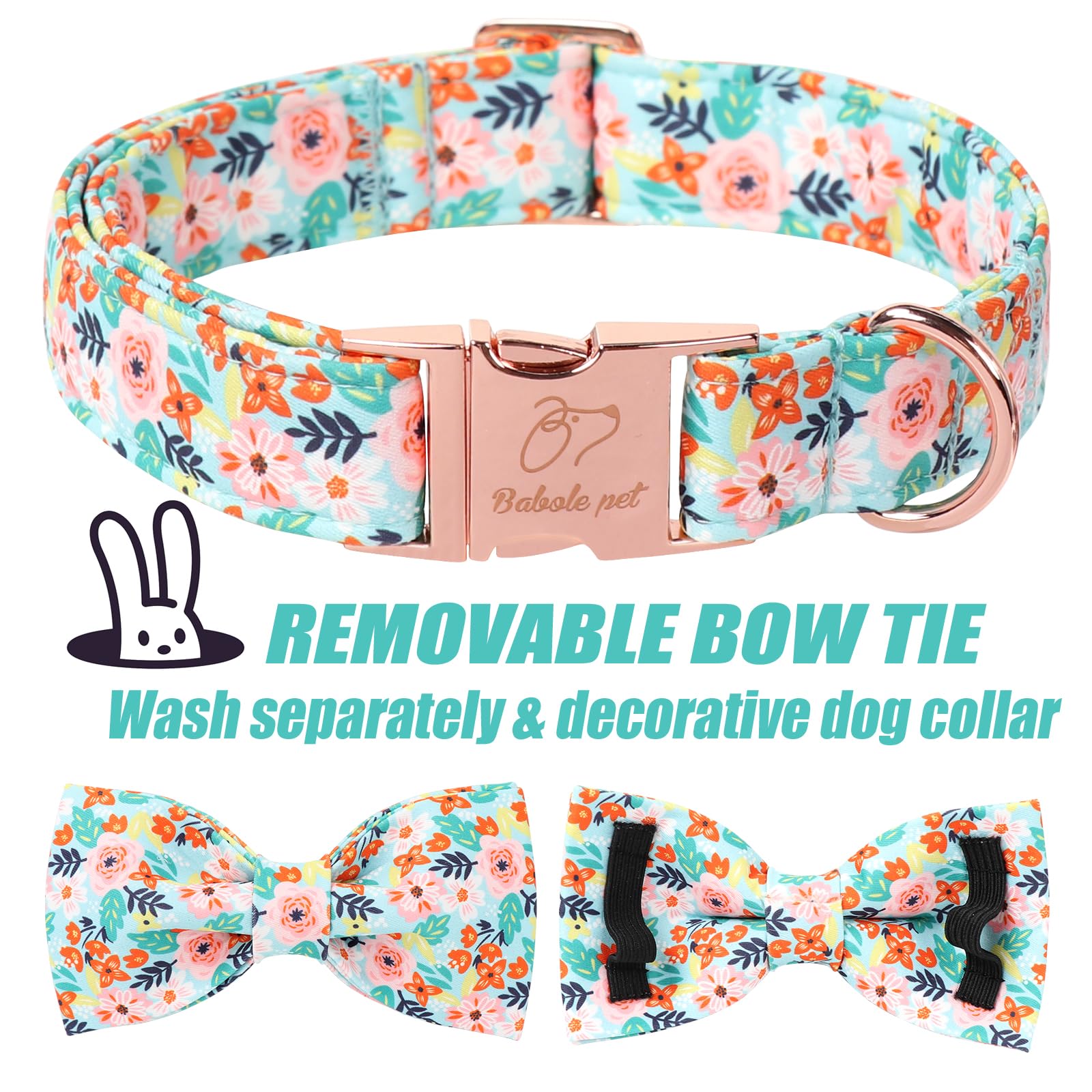 Babole Pet collar con anilla D, sujeción segura para la correa