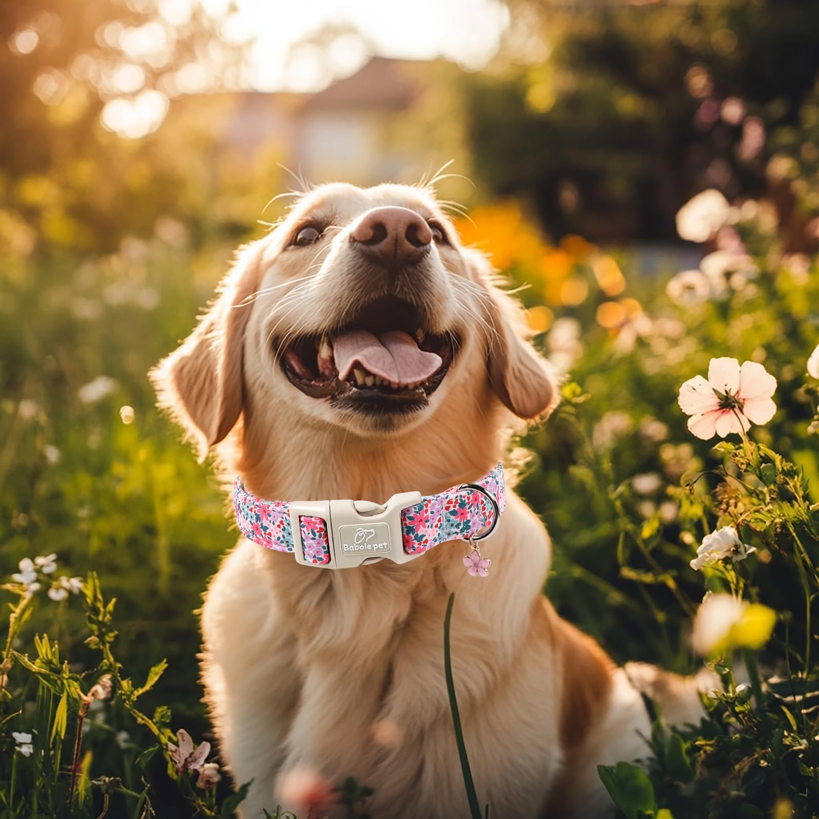 Babole Pet collar aro metálico para correa, unión resistente ante tirones.