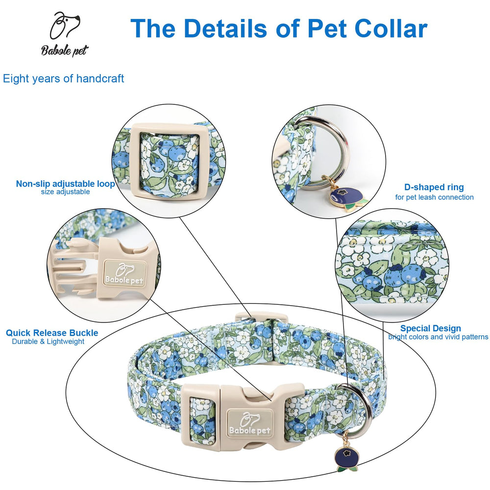 Babole Pet collar con hebilla resistente y detalle de arándano, seguridad para perros activos