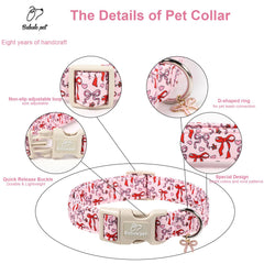 Babole Pet collar con cierre rápido para salidas diarias.