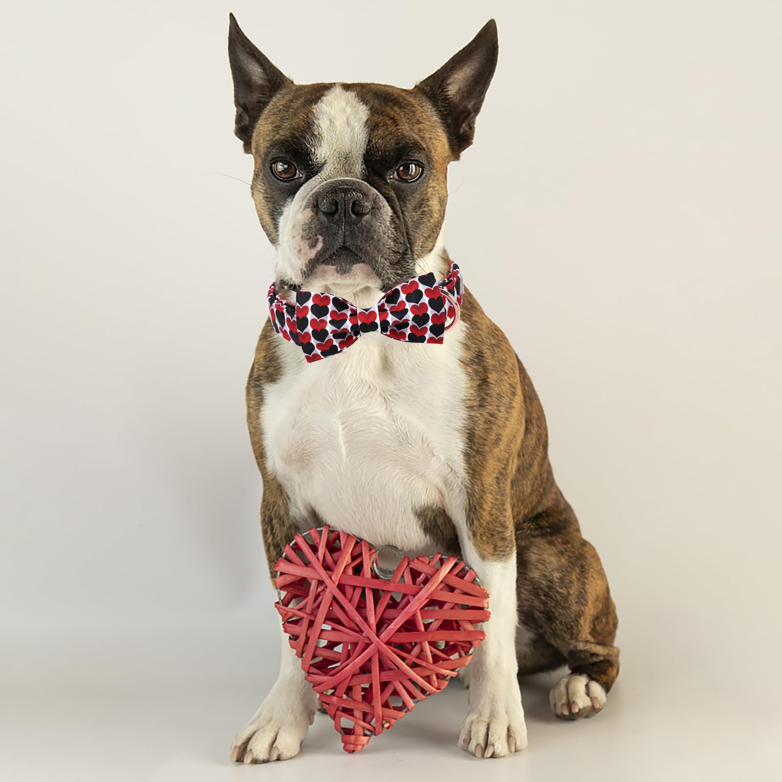 Collar Babole Pet con corbatín removible para estilos personales.