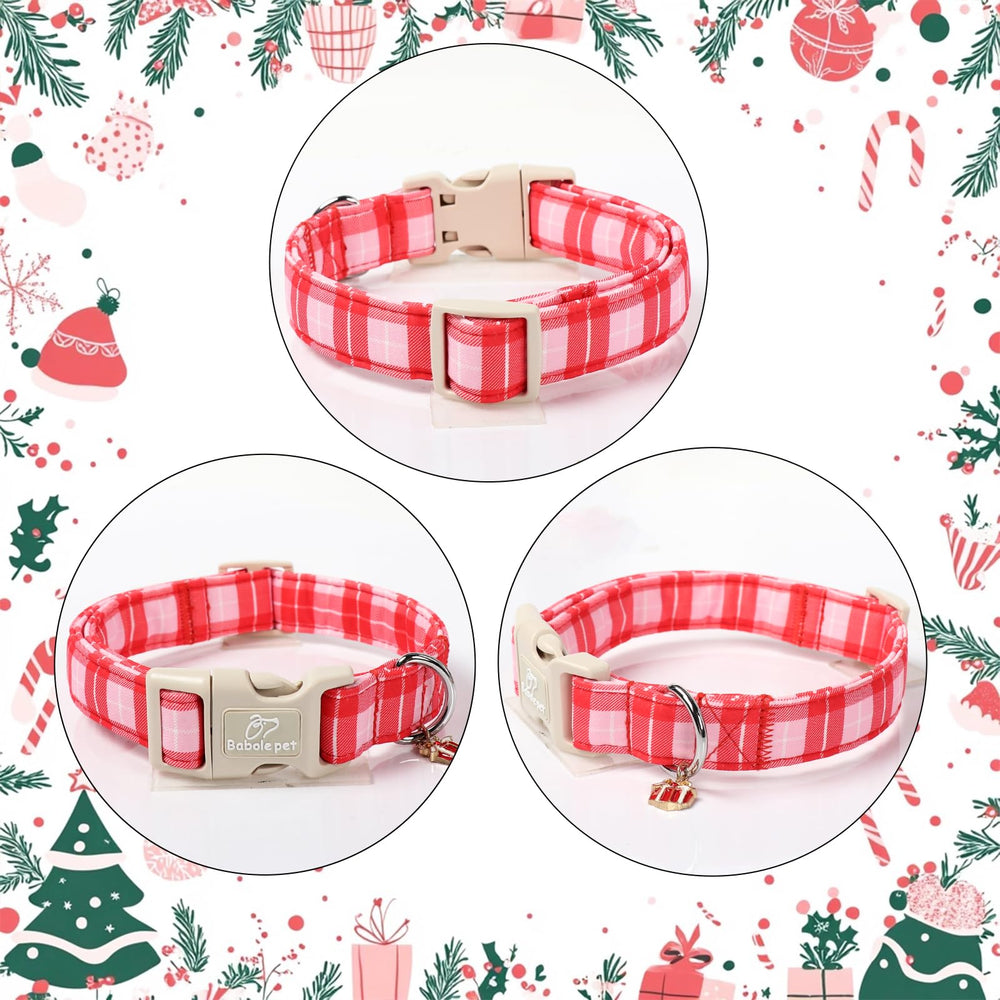 Momentos listos para fotos con el collar Babole Pet de Navidad.