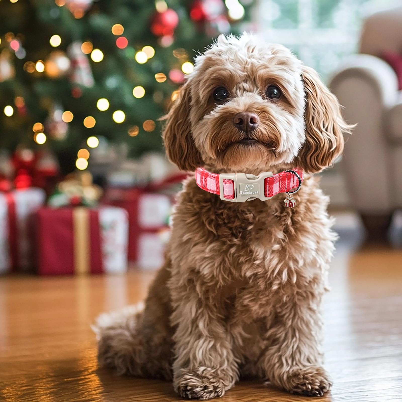 Talla pequeña Babole Pet collar, ideal para razas pequeñas como Pomerania.