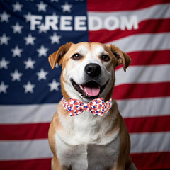 Babole Pet collar cuatro de julio con diseño bandera para perros.
