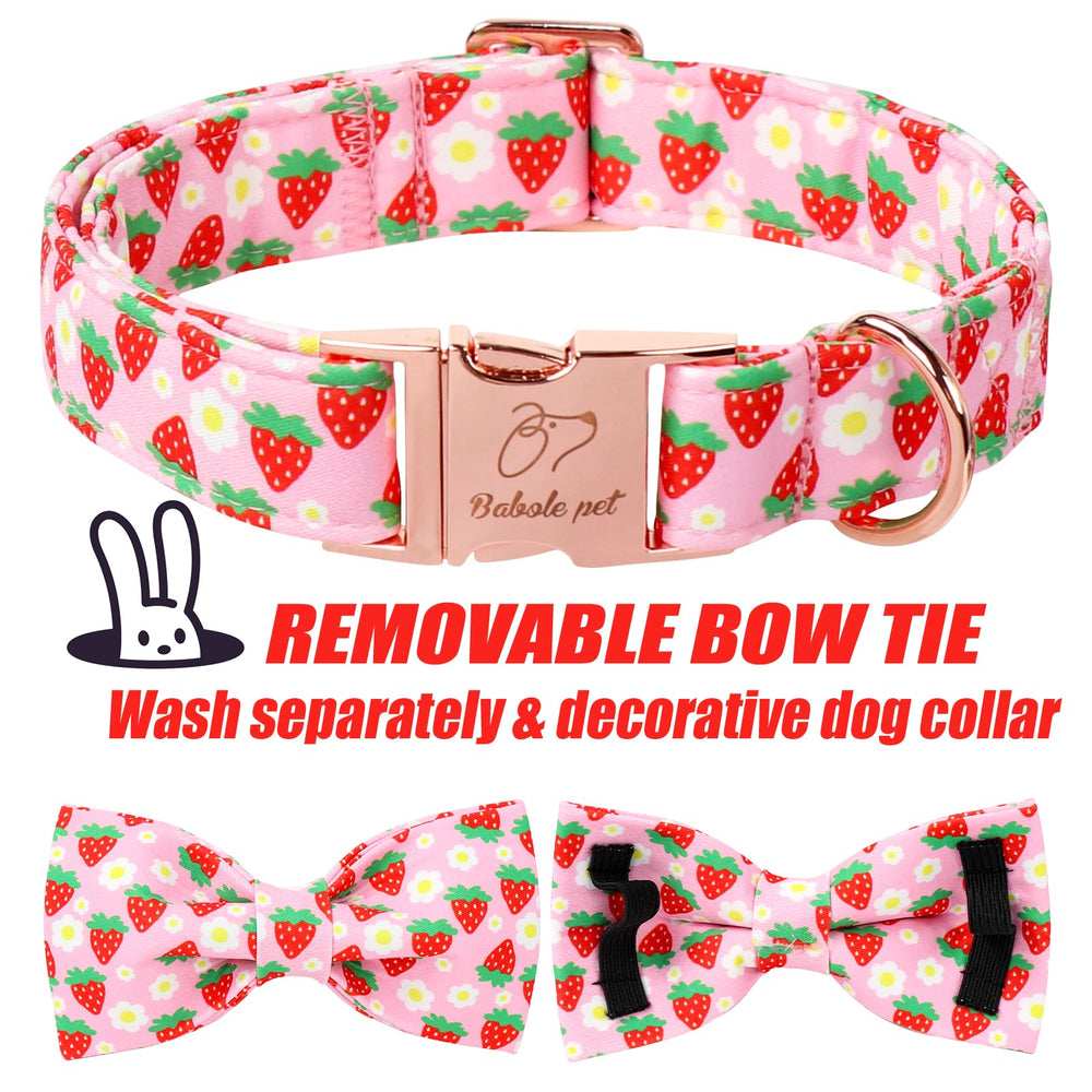 Babole Pet collar con anilla D para sujeción de la correa.