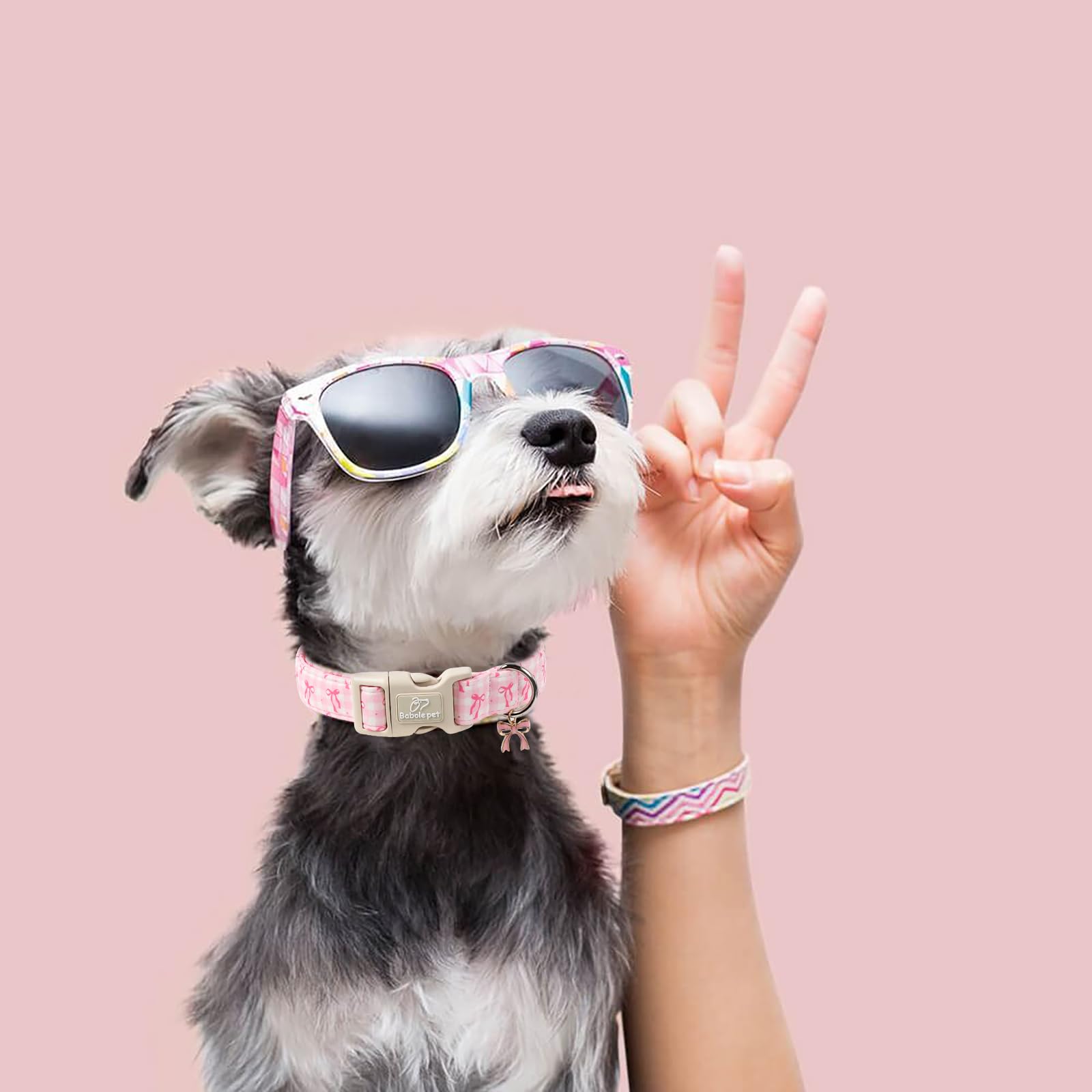 Charm a juego Babole Pet, detalle elegante para looks festivos.