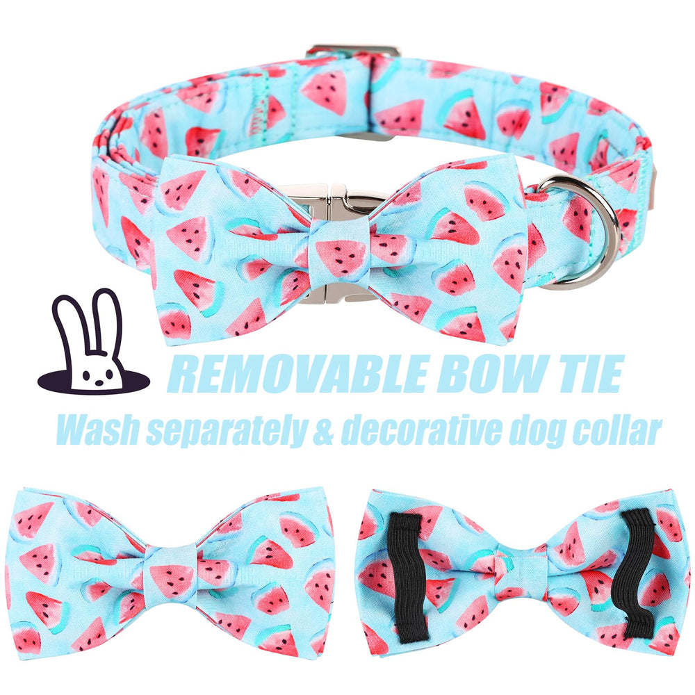 Lazo desmontable Babole Pet para cambiar de look rápido