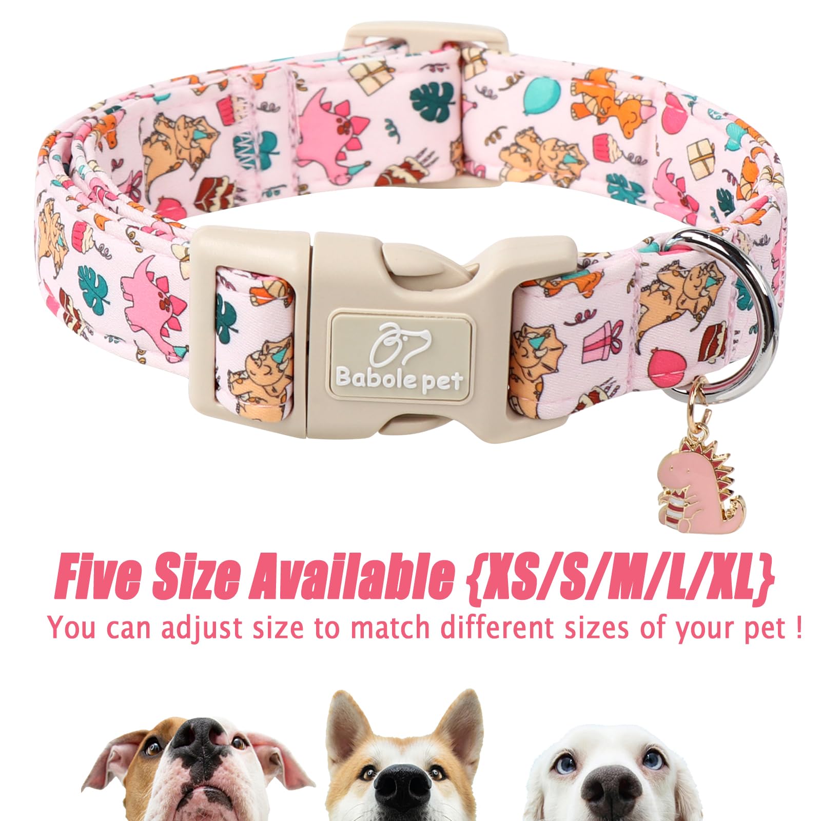 Charm a juego Babole Pet en el collar, perfecto para fotos.