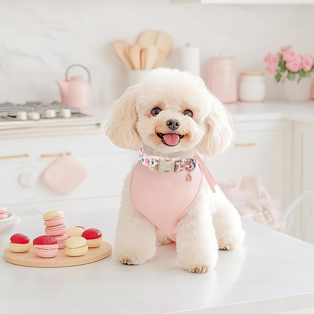 Cierre rápido del Babole Pet Dinosaurio Rosa para puesta rápida y segura.