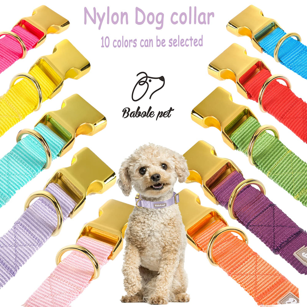 Diseño clásico en colores vivos del collar Babole Pet.