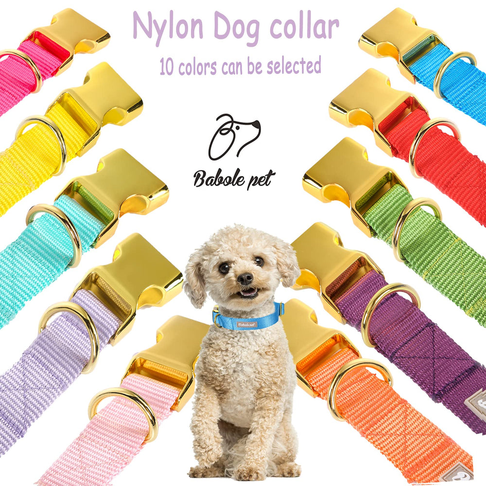 Babole Pet diseño ergonómico para mayor comodidad durante paseos.