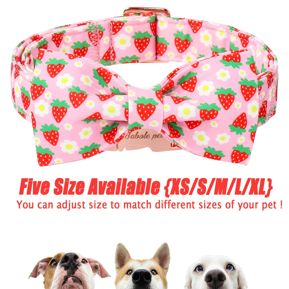 Babole Pet collar diseño primavera-verano para días cálidos y transpirables.