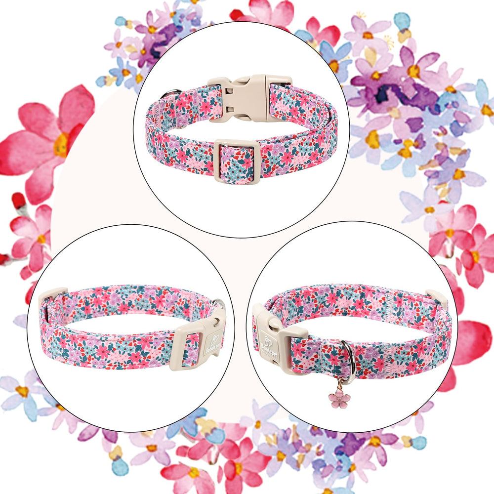 Babole Pet collar diseño primavera resistente, ideal para fotos y eventos.