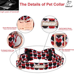 Collar Babole Pet con diseño Valentín para perros pequeños.