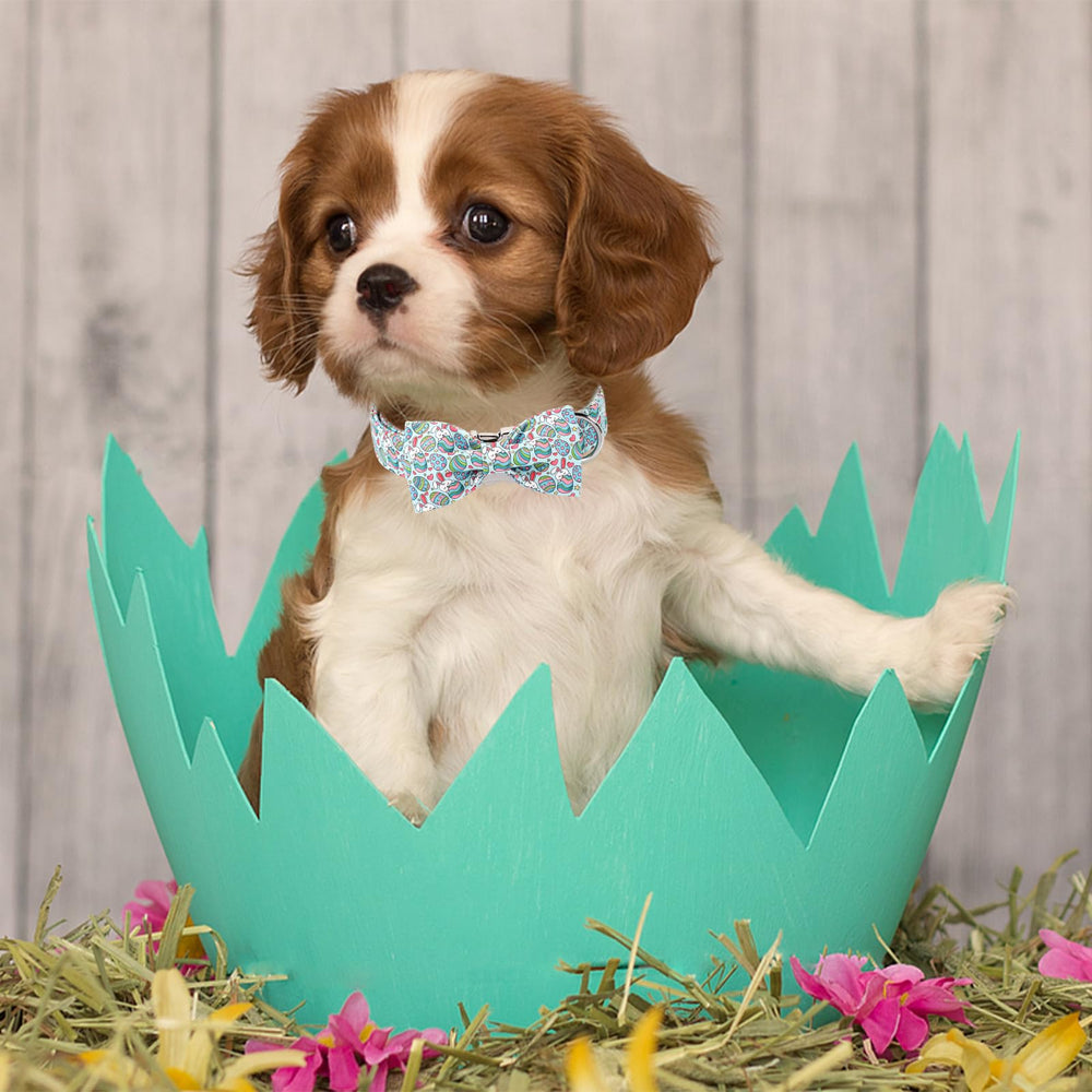 Collar Babole Pet puesto en perro pequeño, cómodo para paseos diarios.