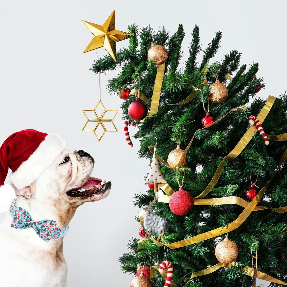 Babole Pet collar con enganche metálico sin níquel y resistente