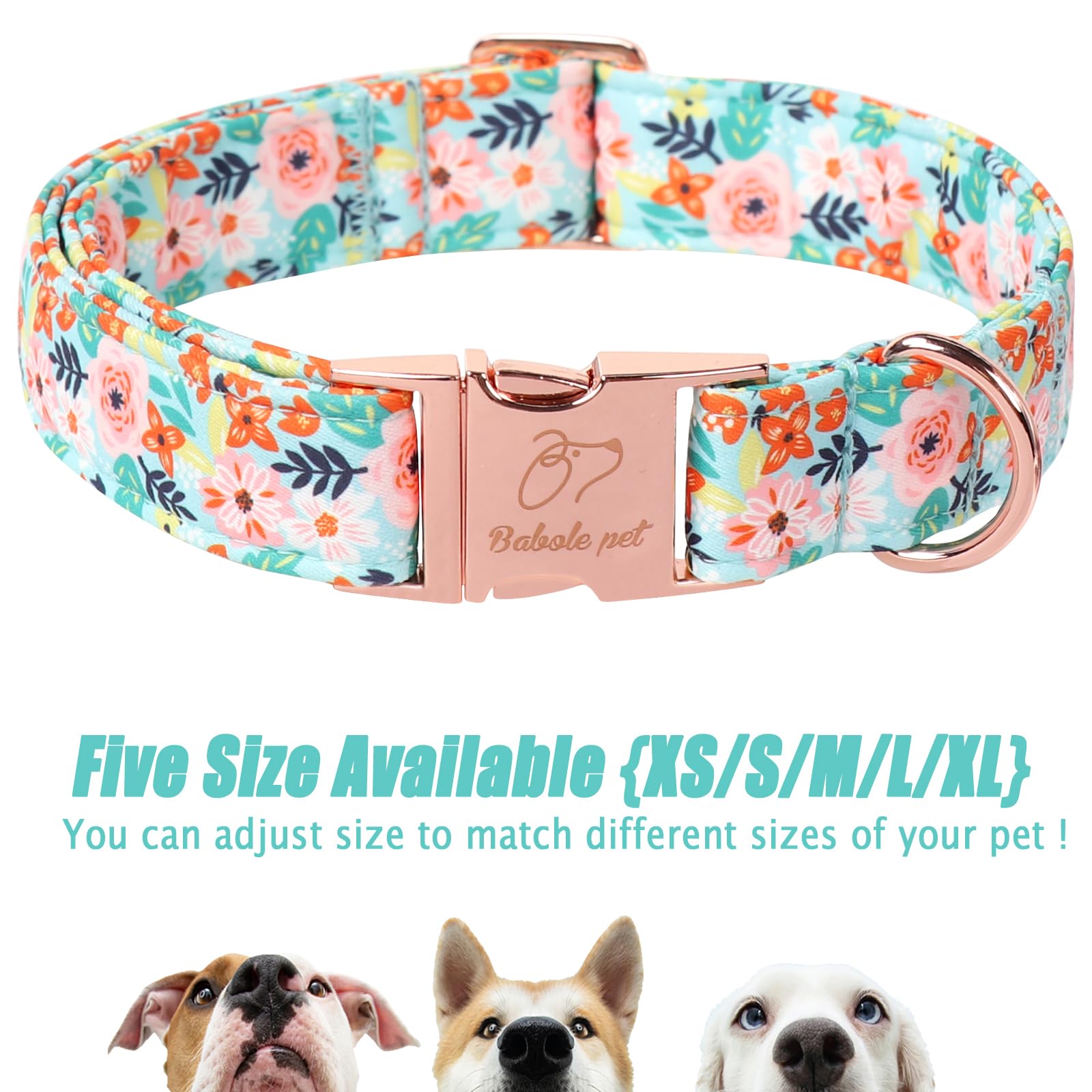 Estilo primavera-verano de Babole Pet, collar alegre para paseos diarios.