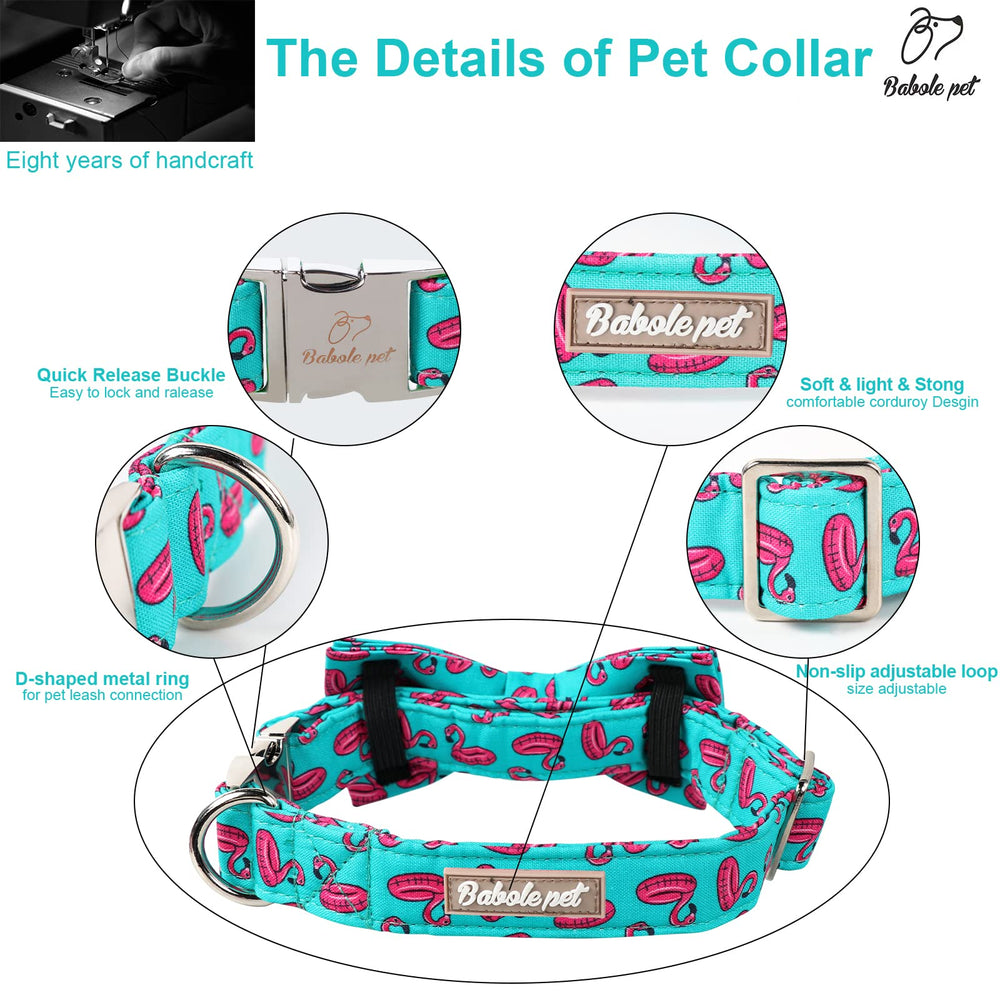 Hebilla y anilla en D resistentes del collar Babole Pet.