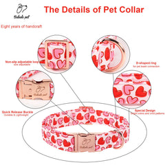 Collar Babole Pet con hebilla de metal resistente para paseos.