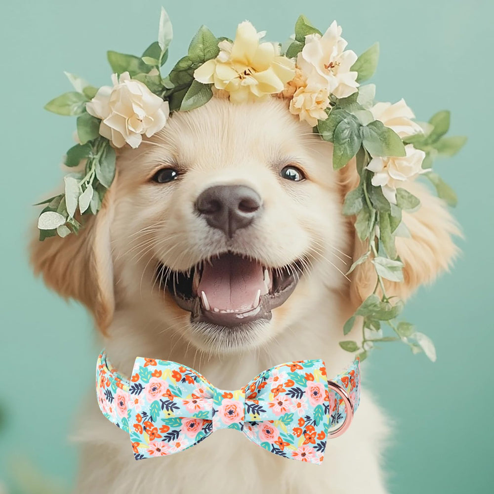 Babole Pet collar hebilla rosada, seguridad duradera durante juegos y paseos