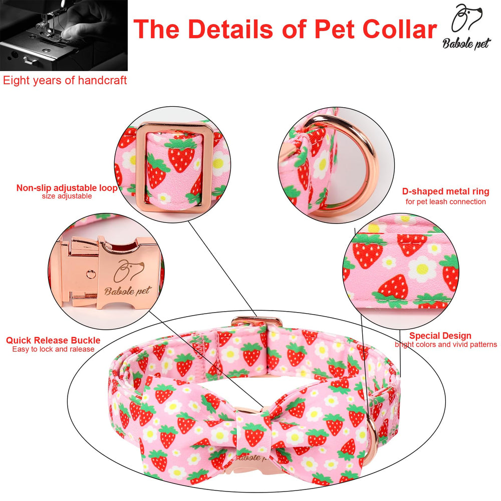 Babole Pet collar con hebilla rosada para sujeción segura y elegante.