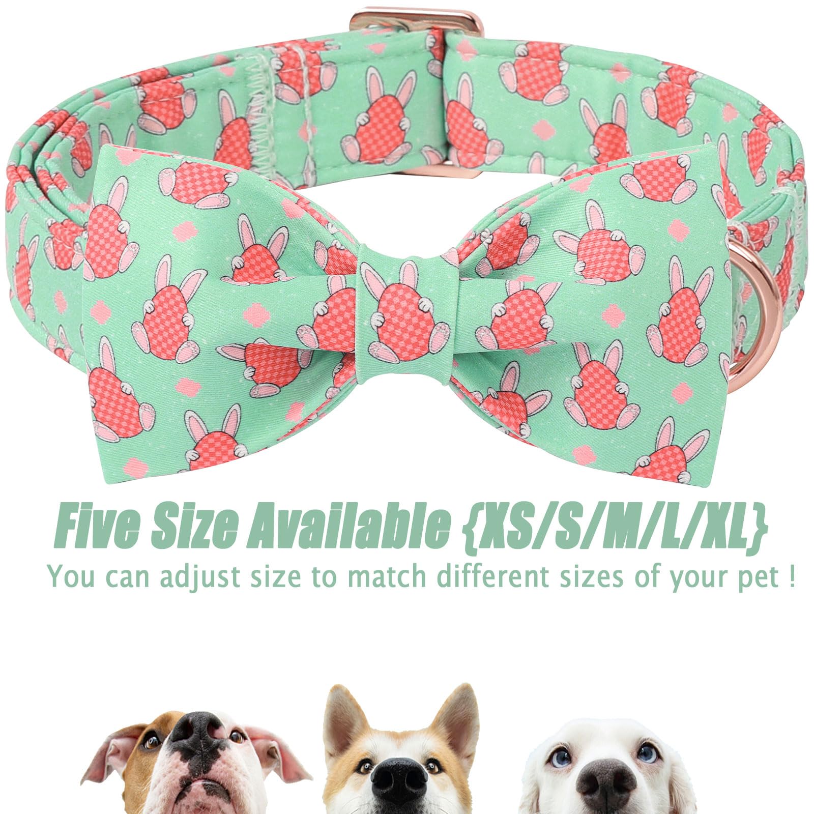 Babole Pet collar perfecto para paseos y ocasiones especiales