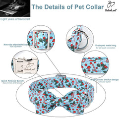 Babole Pet lazo desmontable para cambiar el look rápido
