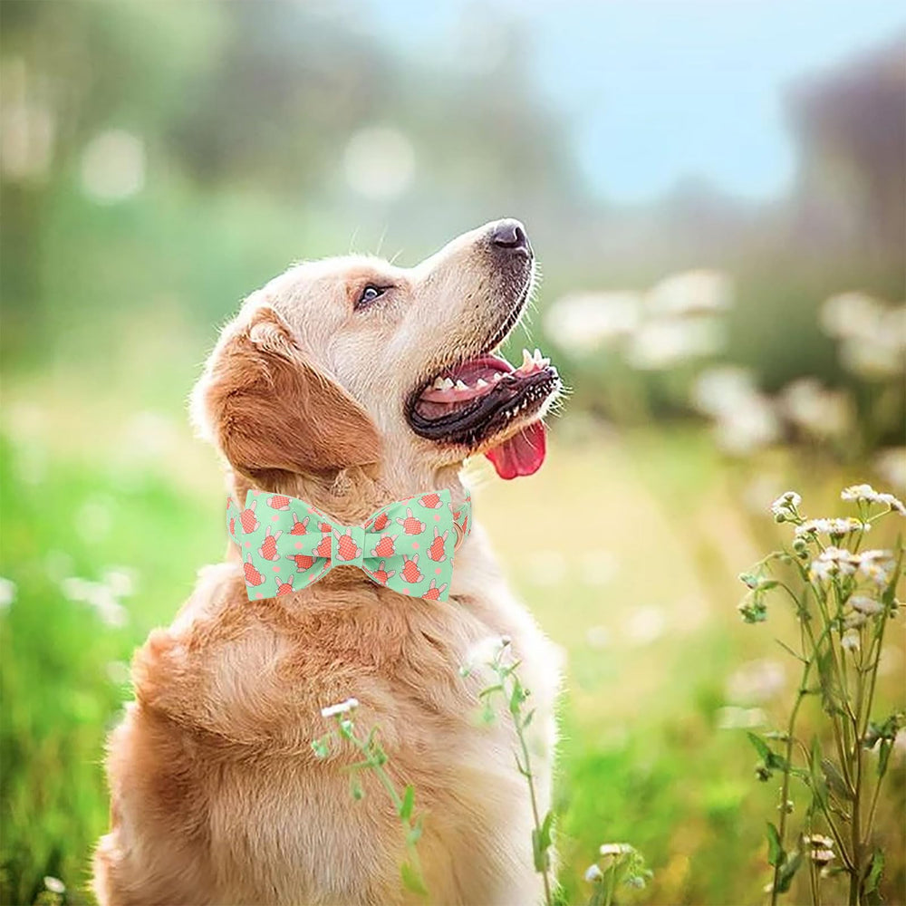 Lazo de Pascua removible Babole Pet, fácil de adaptar