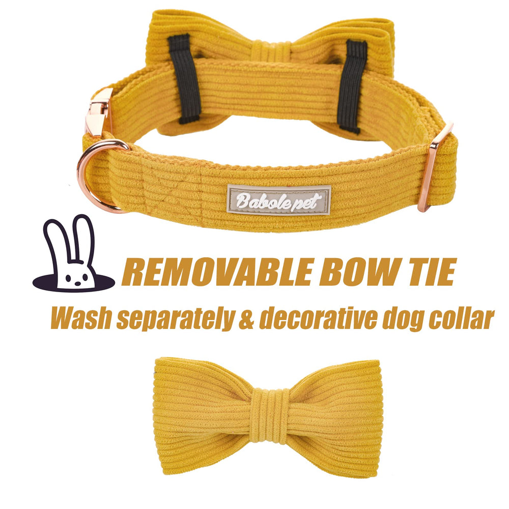 Collar Babole Pet con lazo removible, estilo personalizable para cualquier paseo.