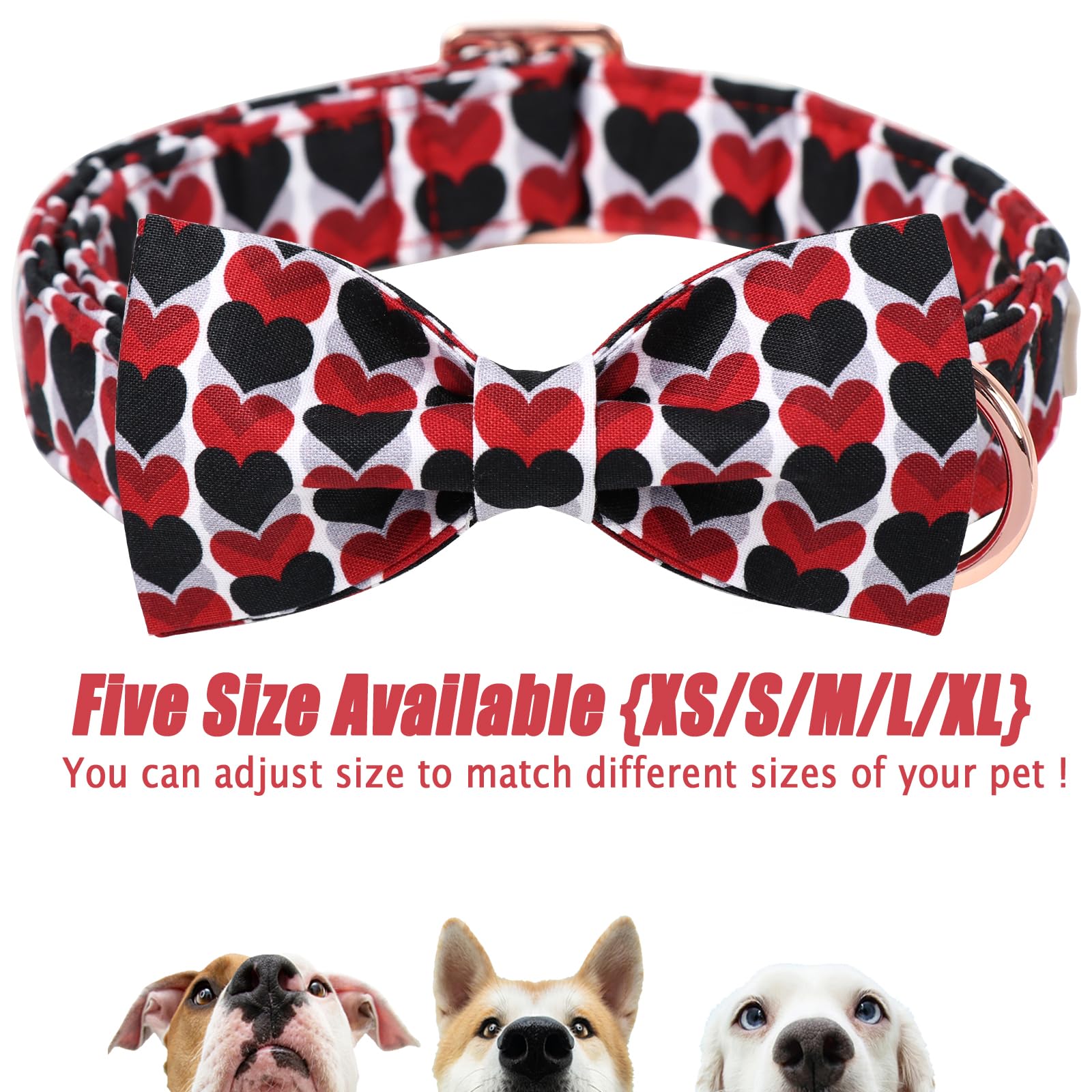 Ajuste preciso Babole Pet collar para cuello cómodo.