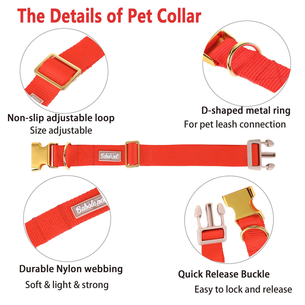 Babole Pet collar nailon colores sólidos brillantes para perros.