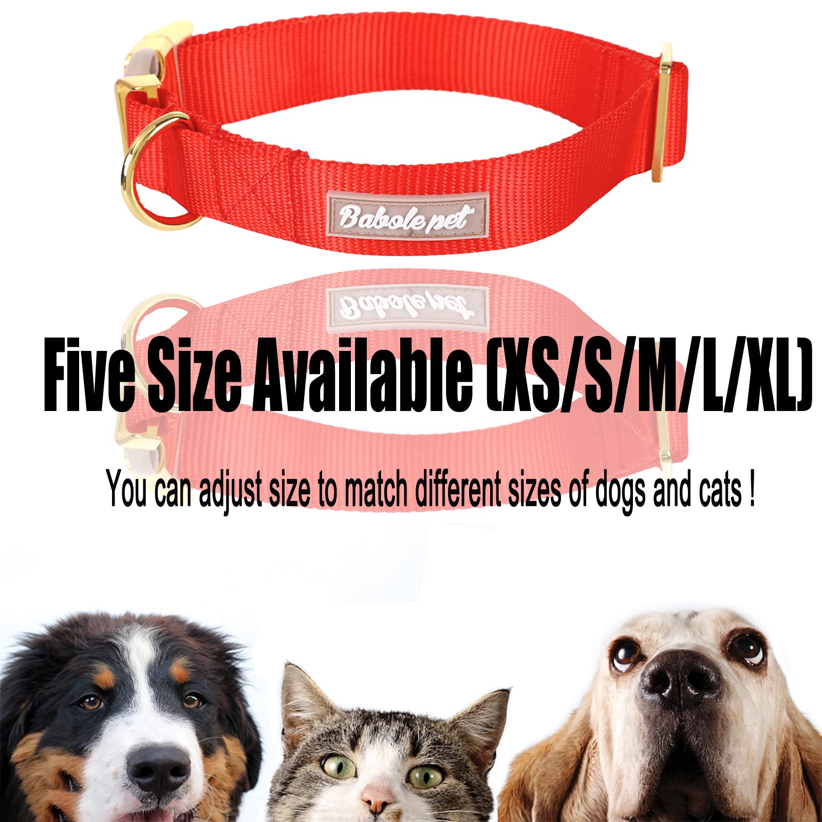 Babole Pet collar nailon con hebilla segura para perros.