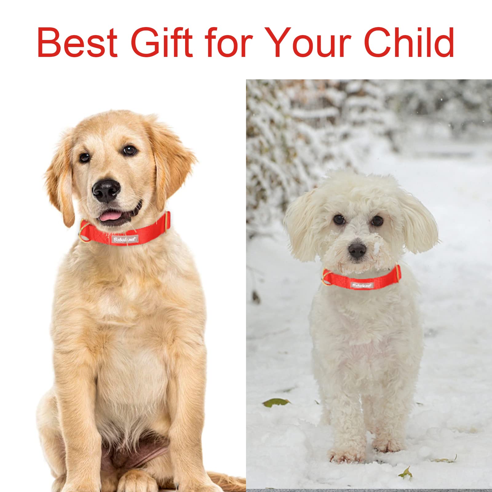 Babole Pet collar nailon tamaño ajustable para perros de todos los tamaños.