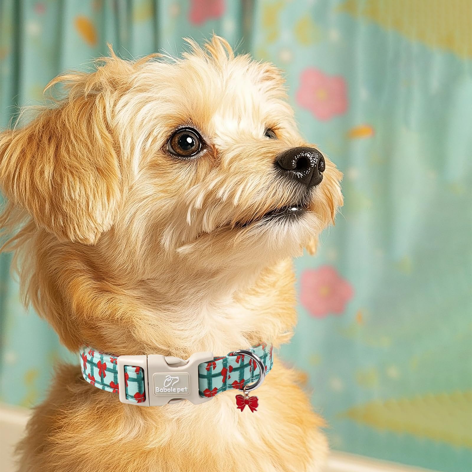 Collar Babole Pet navideño XS ideal para sesiones de fotos festivas.