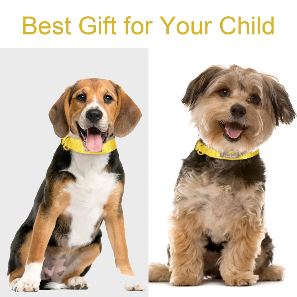 Collar Babole Pet para perros medianos con banda de nylon duradera