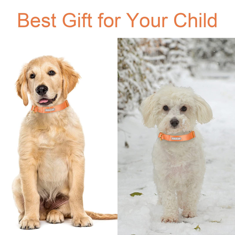 Babole Pet collar nylon naranja ajuste M, ideal para perros medianos.