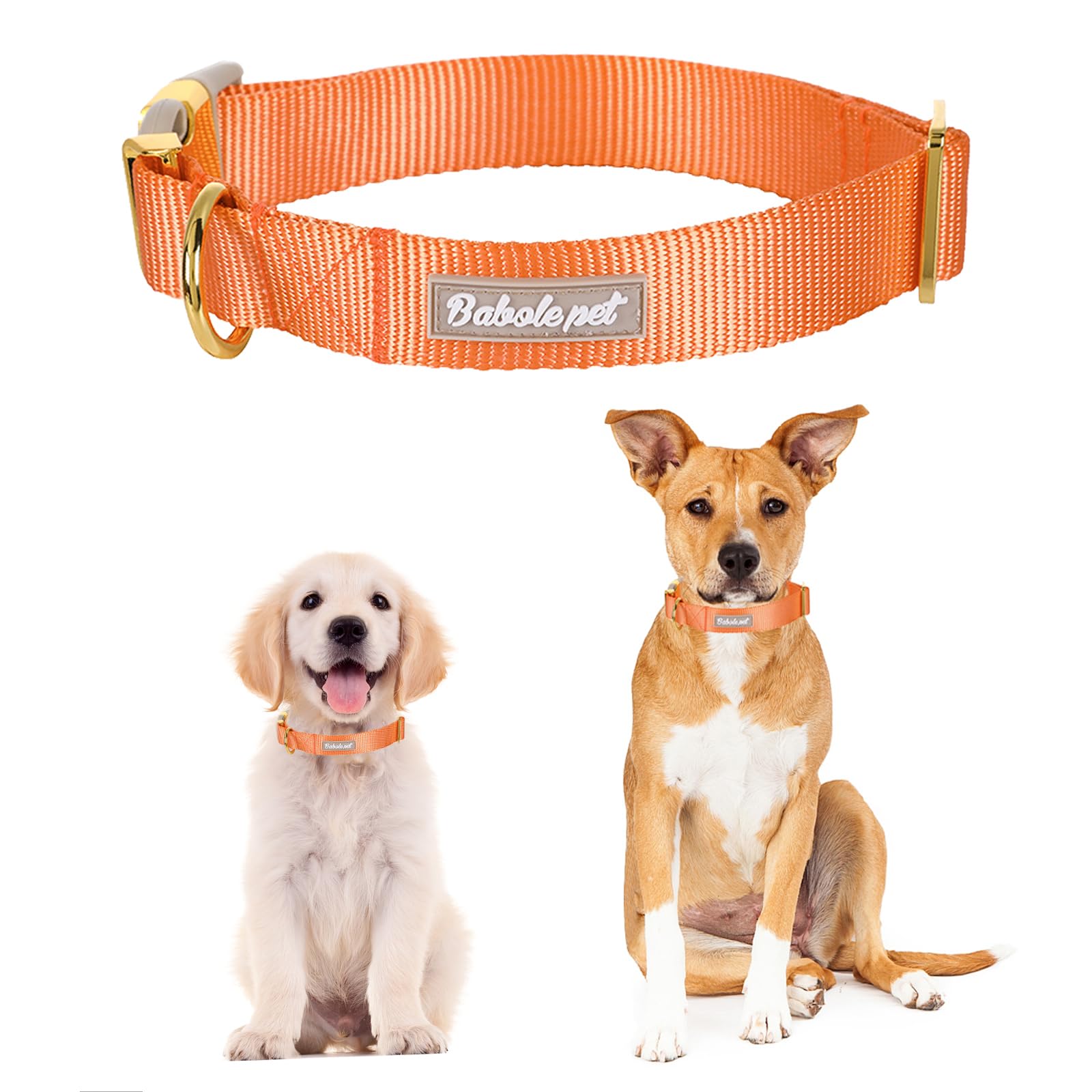 Babole Pet collar nylon naranja ajuste S, suave y seguro para perros pequeños.