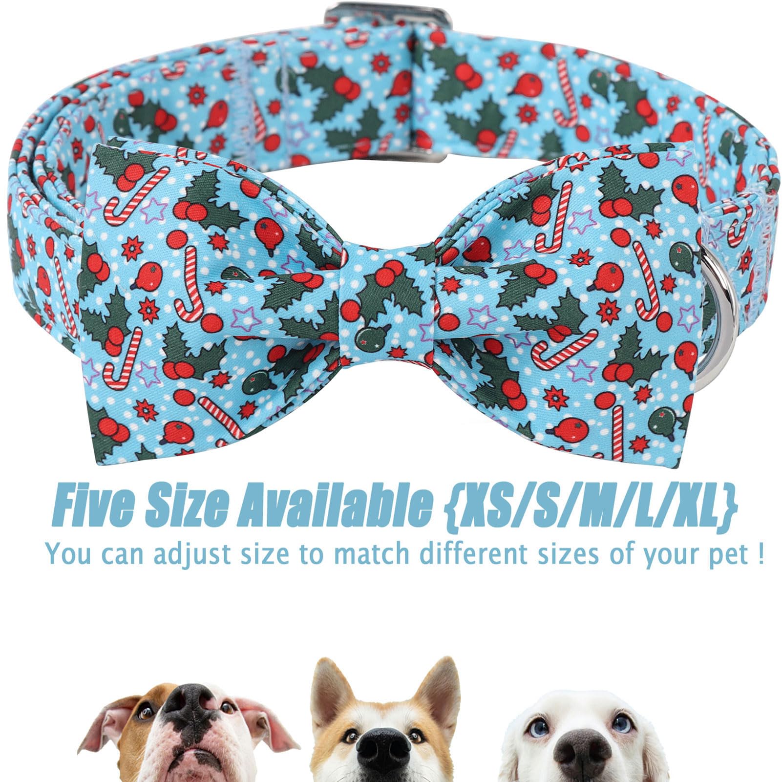 Babole Pet collar para ocasiones festivas y regalos
