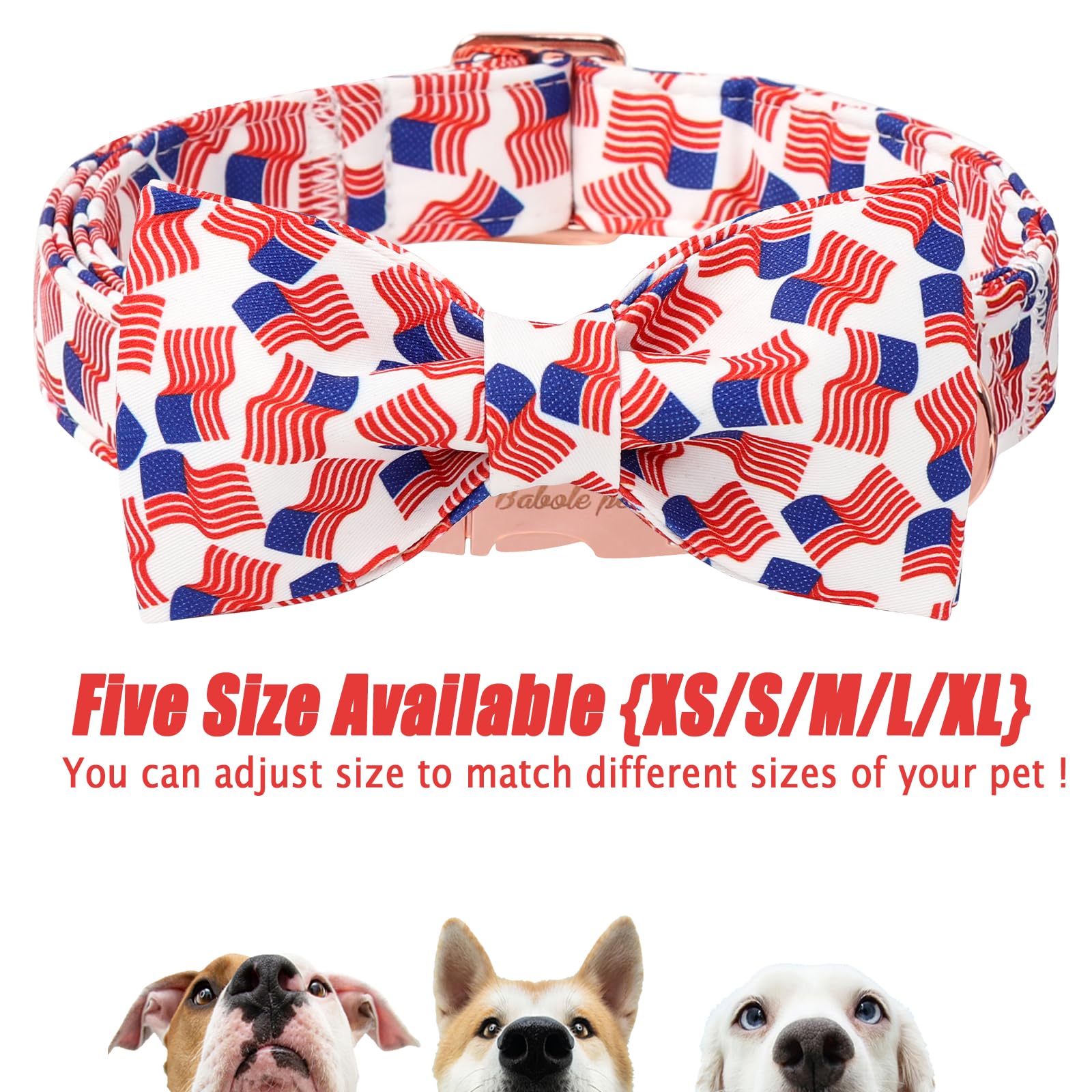 Collar Babole Pet mantiene a tu perro seguro y con estilo en desfiles.