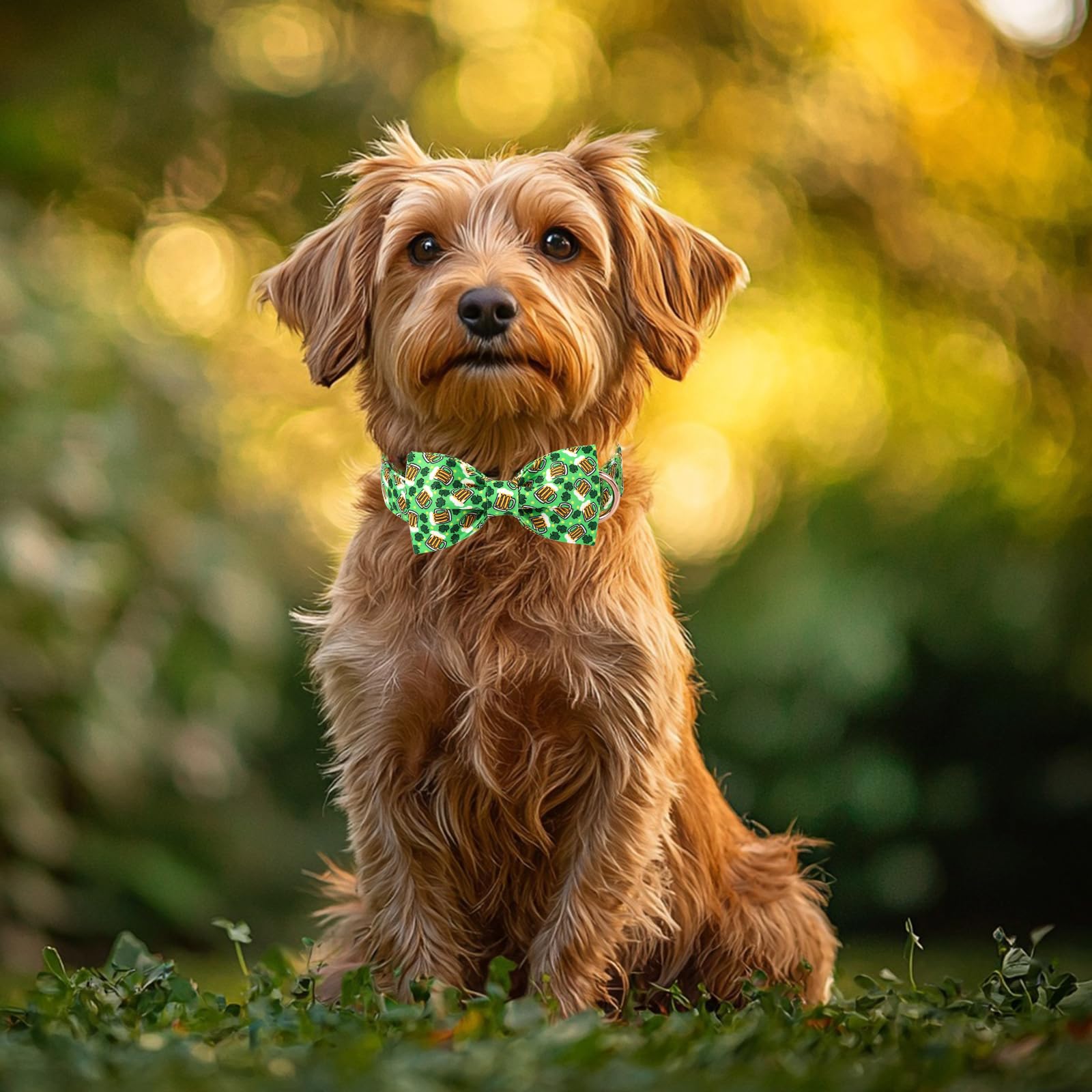 Collar Babole Pet ajustable 13-22 pulgadas para perros medianos