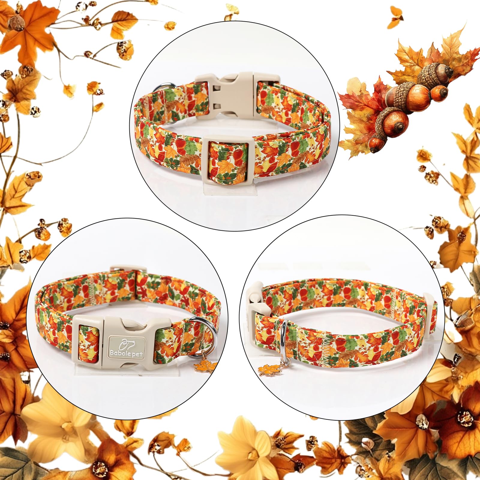 Adorno de hojas doradas y bellotas en Babole Pet para estilo otoñal.