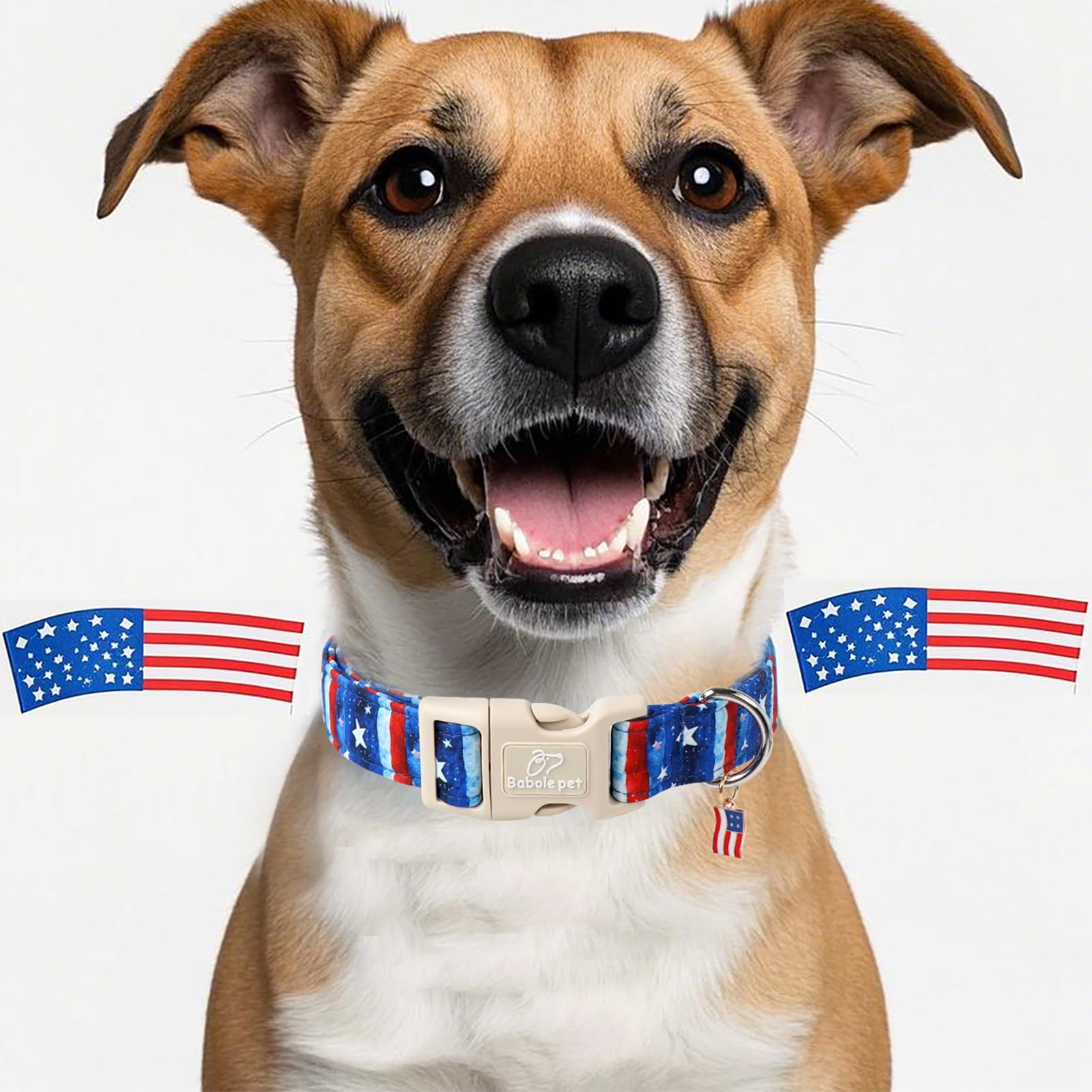 Collar Babole Pet con diseño de bandera, perfecto para sesiones de fotos.
