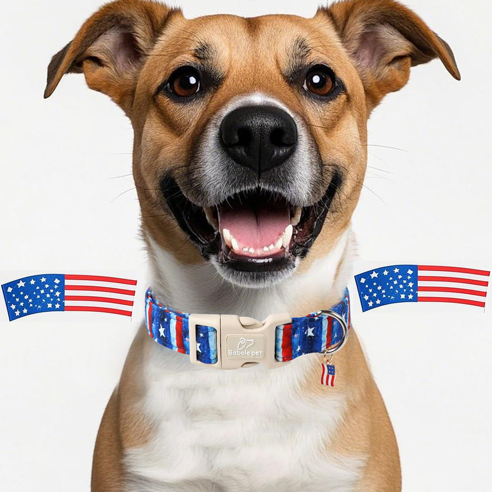 Collar Babole Pet con diseño de bandera, perfecto para sesiones de fotos.